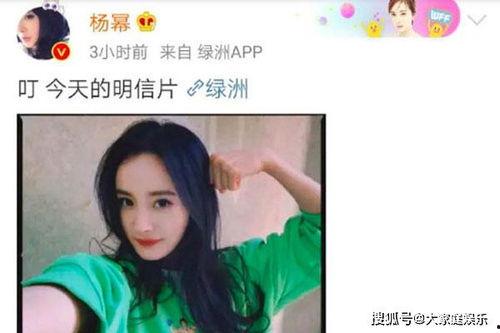 沈腾爆料吃瓜事件视频全集,揭秘娱乐圈幕后真相