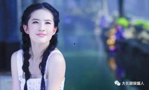 97年的明星网红,璀璨星途与网络风华的交织传奇