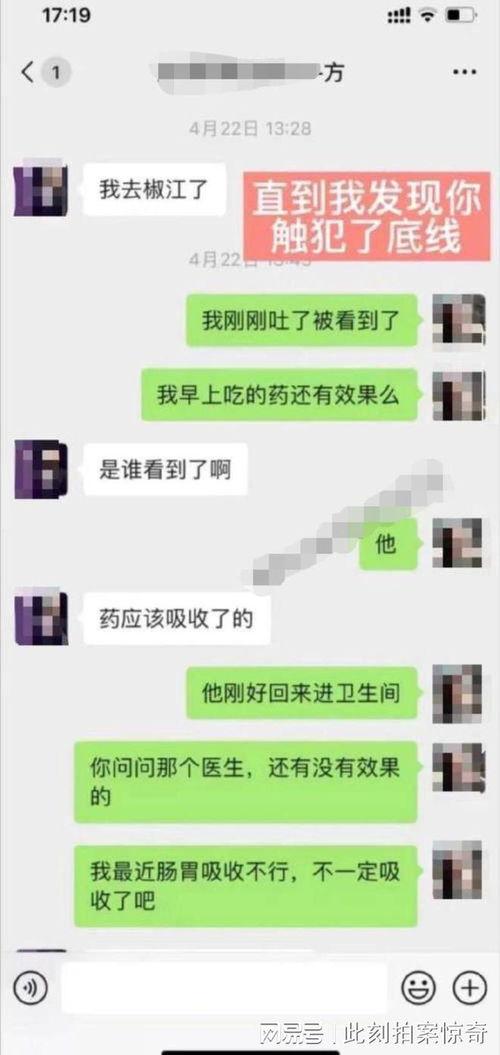 热门吃瓜聊天记录合集,热门聊天记录合集深度解读