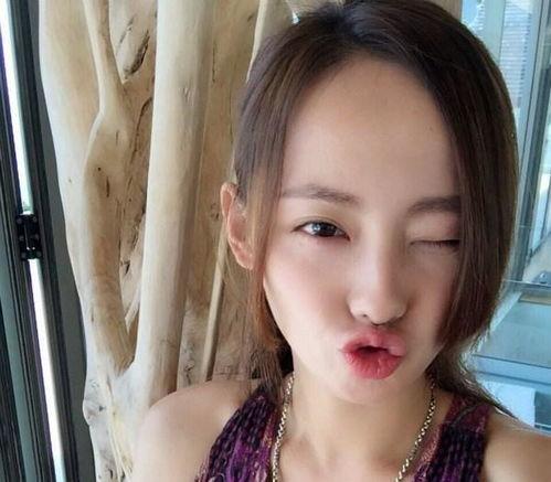 明星网红同款猫咪,揭秘明星同款萌宠背后的魅力