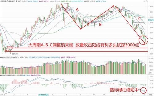 今日小瓜走势分析图片,今日行情动态一览