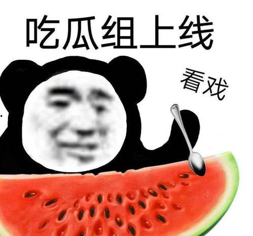哪里可以吃瓜黑料,揭秘明星幕后黑料，揭秘哪里可以吃瓜