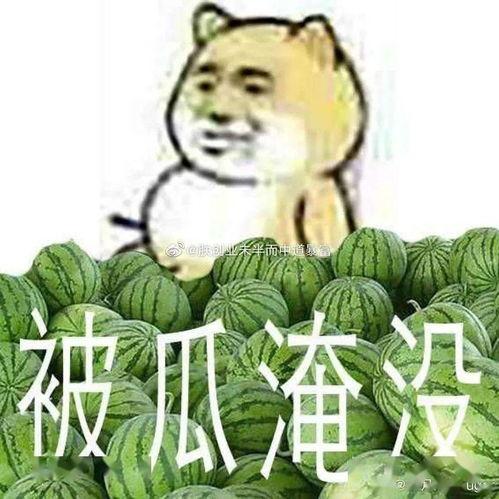 吃瓜黑历史正能量图片,那些被遗忘的温馨瞬间