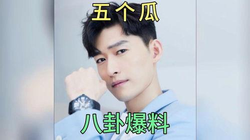 关于娱乐圈吃瓜的小说,瓜田里的秘密风云录