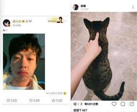 鼠系男明星网红,魅力四溢的时尚宠儿