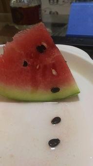 吃的黑瓜是西瓜子吗,揭秘西瓜子的神秘面纱
