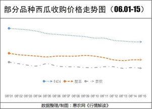 开封今日瓜价行情走势,今日瓜价走势一览