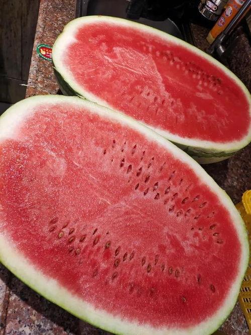 芋瓜价格今日最新行情,今日最新行情解析”