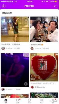明星网红代言赌场视频,揭秘娱乐与赌博的边界