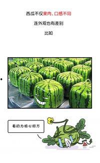历史热门吃瓜事件是什么,揭秘那些年我们津津乐道的八卦风云