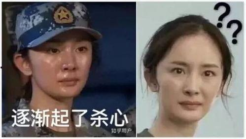 明星网红表情图,瞬间捕捉的个性瞬间