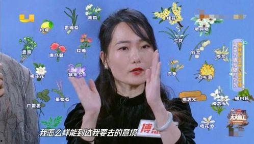 天天见明星网红,揭秘网红圈层生活