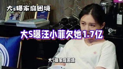 汪小菲吃瓜爆料视频大全,揭秘娱乐圈幕后真相