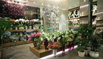 热门大瓜 花店老板是谁,花店老板背后的故事