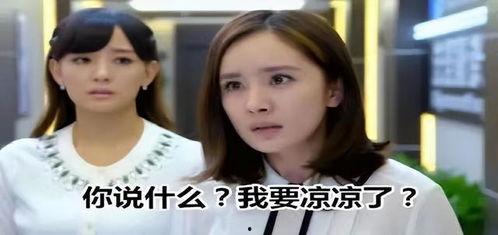 明星网红做头发视频,跟随潮流打造时尚发型