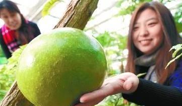 热门大瓜12月份,明星秘闻、恋情曝光，年度热点事件回顾