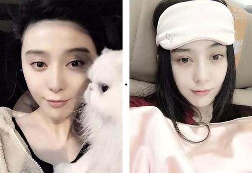 明星热门吃瓜网名大全女,盘点明星女神们的独特网名