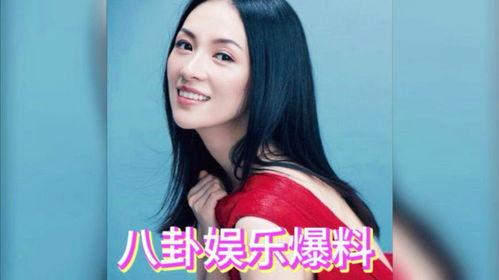娱乐圈吃瓜爆料于文文,于文文事件背后的真相