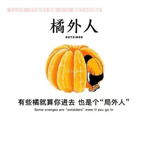 抖音热门哈密瓜文案,哈密瓜美食诱惑，尽在这一夏