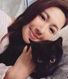 明星网红去猫咖,明星同款猫咖，萌宠魅力无限