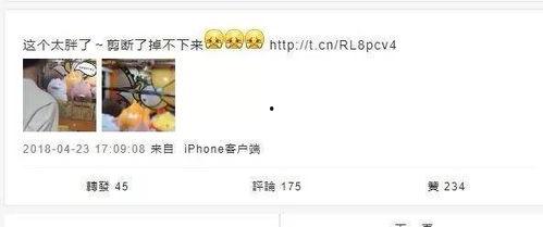 吃瓜爆料王者主播是谁呀,吃瓜爆料，王者主播究竟是谁？