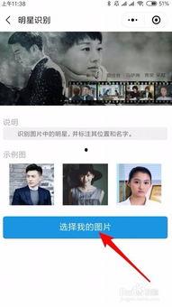 怎么照片识别明星网红,照片识别技术揭秘
