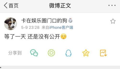 吃瓜爆料配乐是什么意思,音乐与话题的完美融合