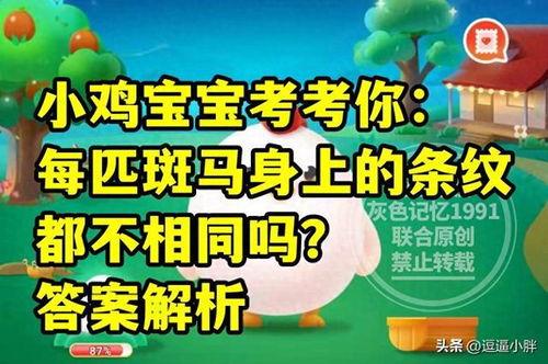 蚂蚁庄园今日答案面条瓜,探寻神秘面食的起源与魅力