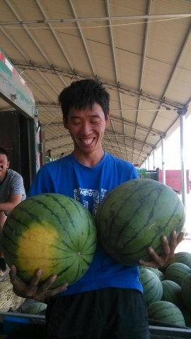 青州谭坊今日瓜价,新鲜瓜果价格一览