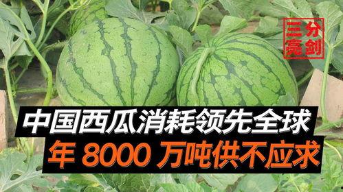 工商爆料吃瓜网是真的吗,吃瓜网真实性揭秘