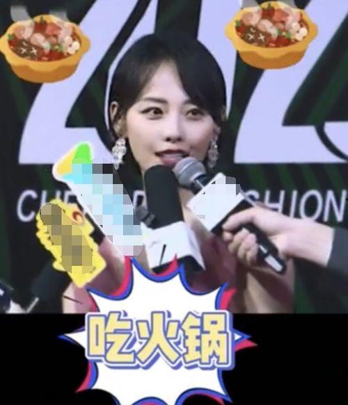 明星网红偶像的区别,三界差异深度解析