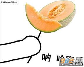 热门表情包哈密瓜图片,夏日清凉，笑果连连