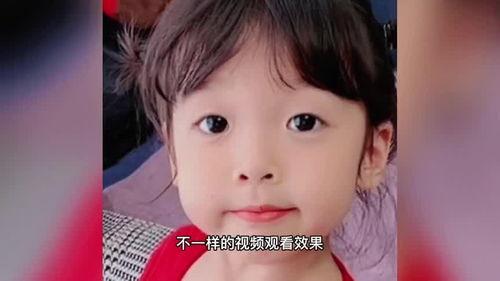 东北明星网红搞笑段子,笑料百出，欢乐无限