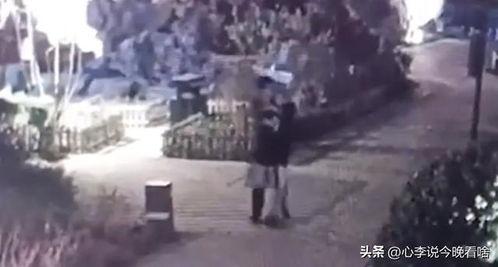 淄博吃瓜爆料事件视频曝光,视频曝光事件真相揭秘