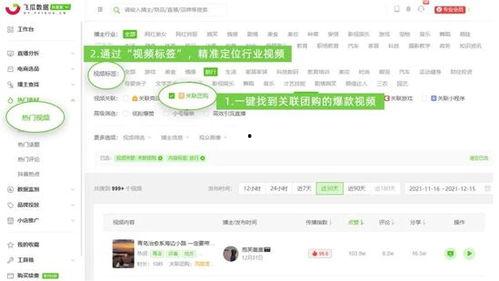 飞瓜数据热门视频怎么拍,热门视频拍摄技巧全解析