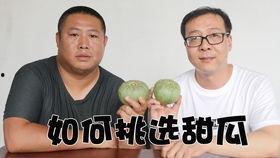 黑哥吃瓜网,揭秘娱乐圈最新热点，带你领略幕后真相