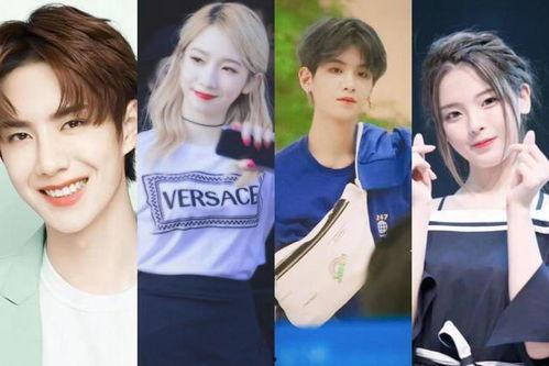 明星网红今日热点,流量密码揭秘，热门事件盘点