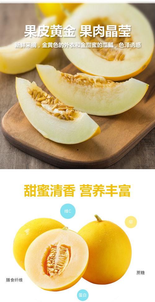 缅甸黄河蜜瓜今日行情,甜蜜价格波动，市场供需动态解析