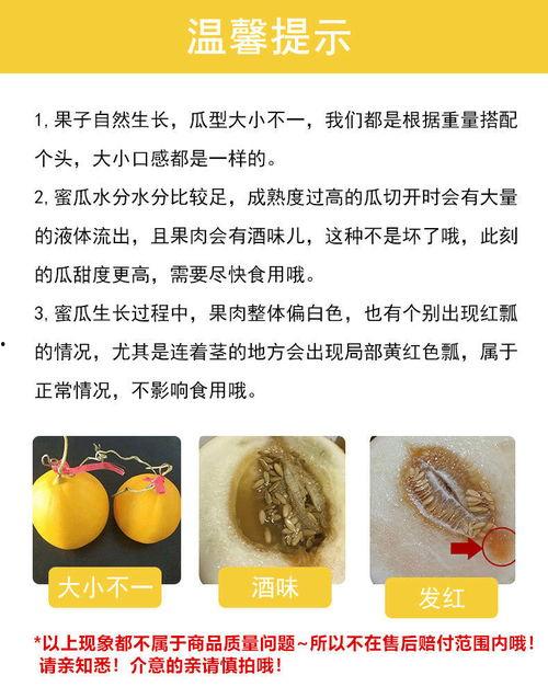 缅甸黄河蜜瓜今日行情,甜蜜价格波动，市场供需动态解析