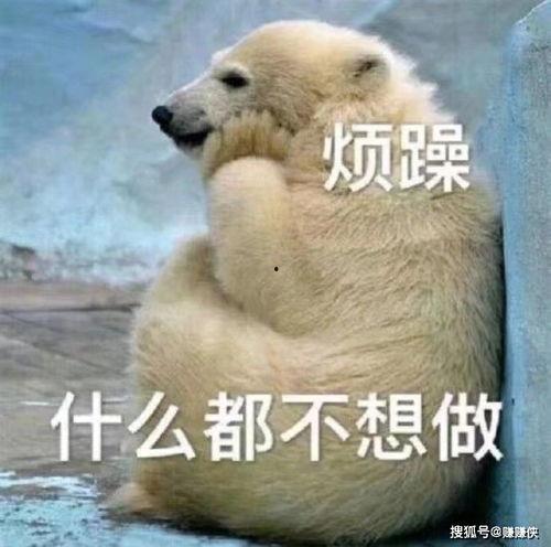 热门吧吃瓜群众是谁,网络热议背后的神秘力量