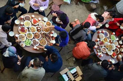 明星网红蹭农村酒席,引发网友热议