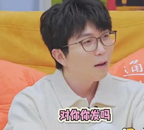 娱乐圈吃瓜小号是什么,揭秘“吃瓜小号”背后的秘密