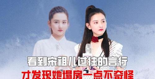 理性看待明星网红现象,明星网红现象的多维解读