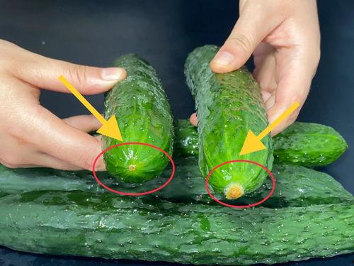 今日头条的小瓜,揭秘今日头条背后的内容生态与算法奥秘