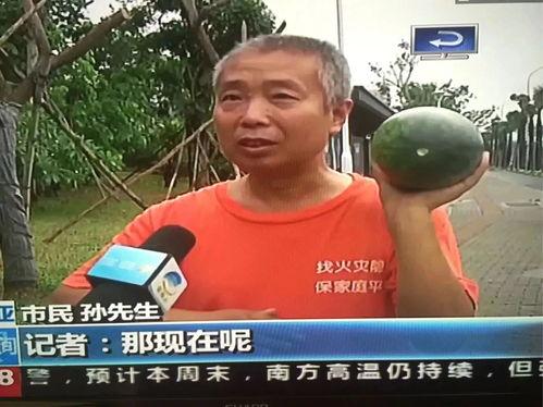 热门吃瓜事件网站大全,揭秘热门吃瓜事件网站大全