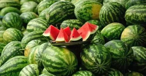 今日徐闻毛瓜收货价,行情波动，市场动态一览”