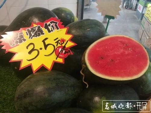 今日大蓬瓜价格多少,涨跌波动背后的市场动态