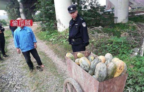 汾阳吃瓜最新事件爆料视频,最新爆料视频揭秘惊人内幕