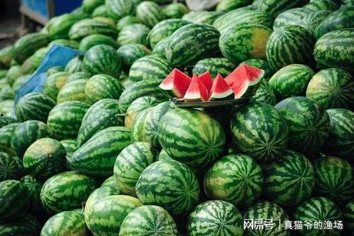 黑料吃瓜网站鄂州一家人,黑料吃瓜网站掀起热议风暴