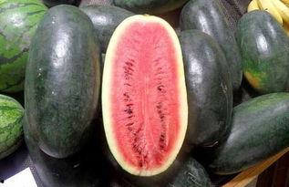 黑料吃瓜网站鄂州一家人,黑料吃瓜网站掀起热议风暴